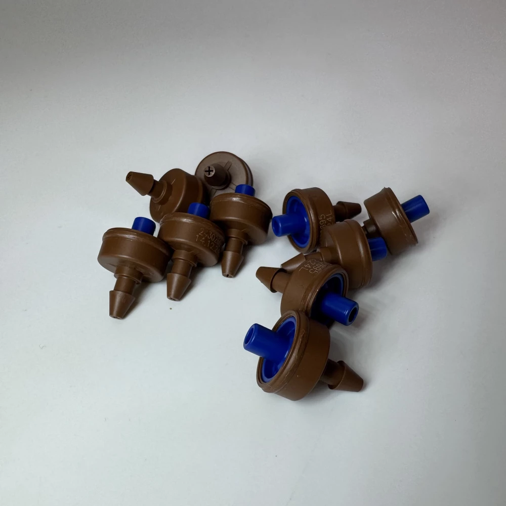 addition_photo-2077